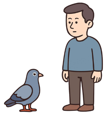 The Truth About Pigeons 2